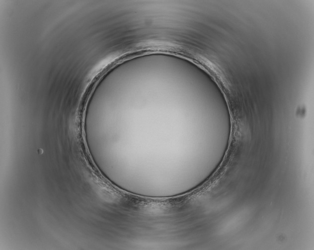 X0000090981074200708091453
