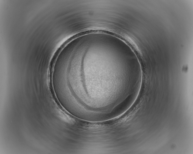 X0000090981076200708091453