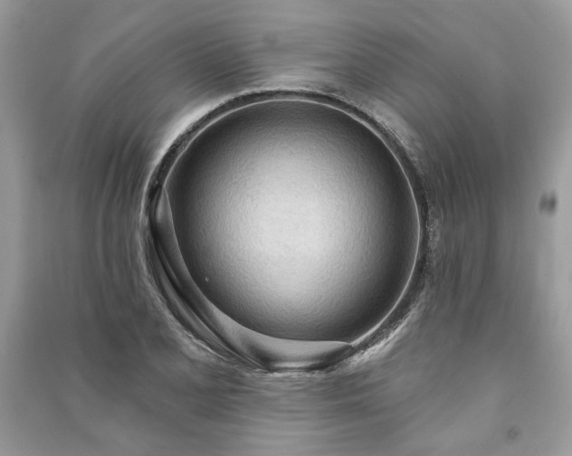 X0000090981077200708091453