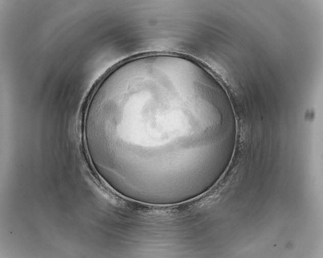 X0000090981078200708091453