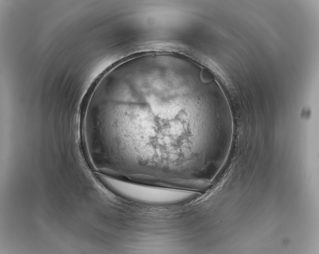 X0000090981079200708091453