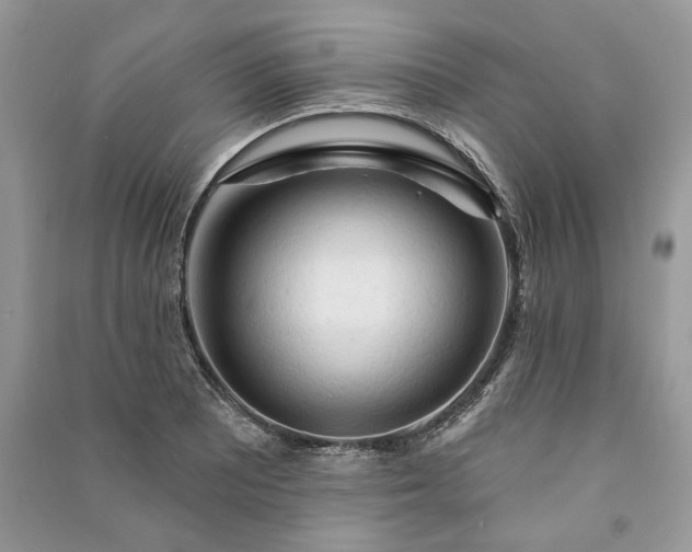 X0000090981081200708091452