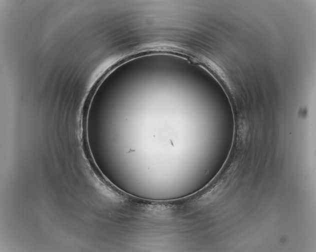 X0000090981082200708091452