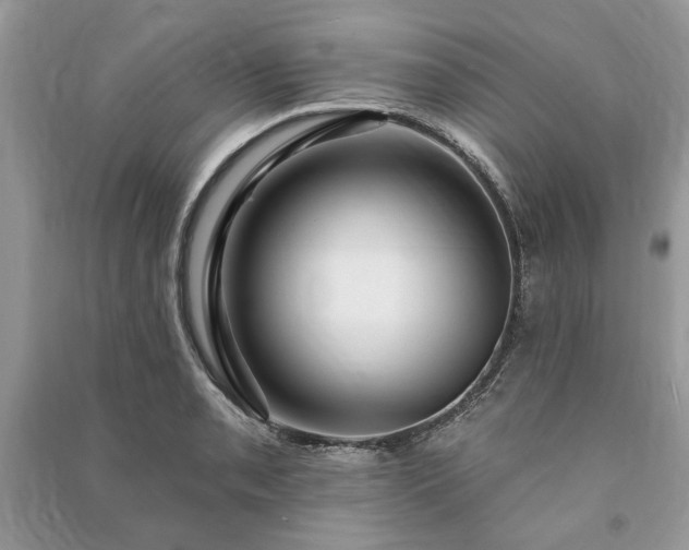 X0000090981085200708091452