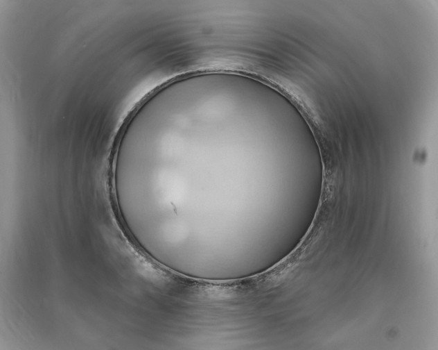X0000090981086200708091452