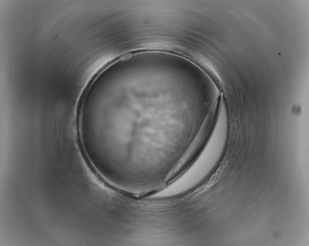 X0000090981087200708091452