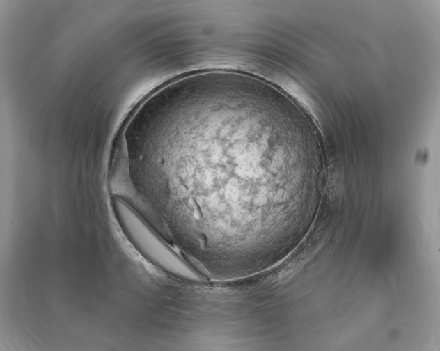 X0000090981088200708091452