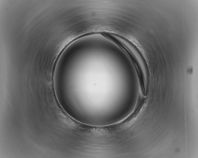 X0000090981089200708091452