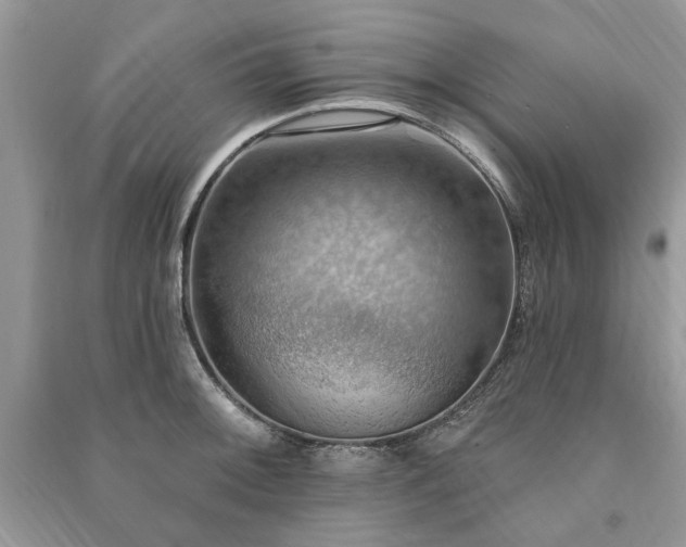 X0000090981092200708091452