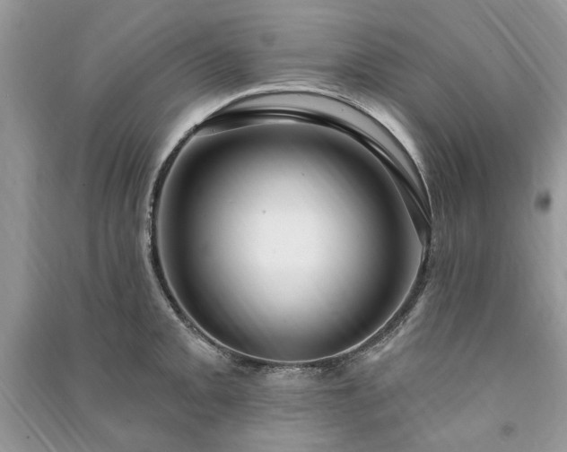 X0000090981093200708091452