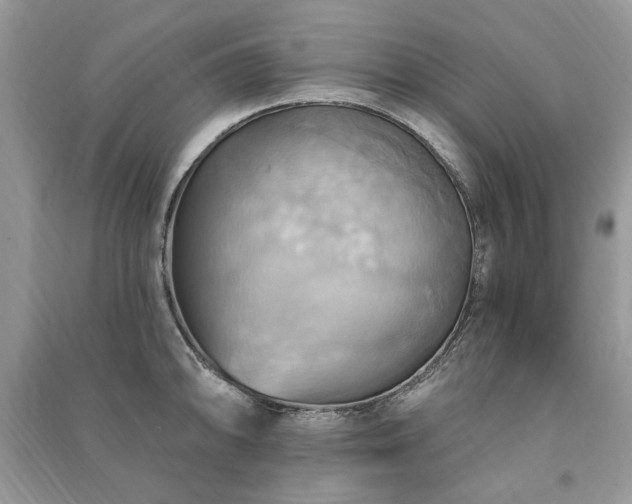 X0000090981094200708091452