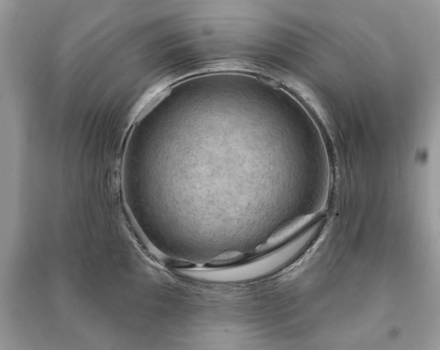 X0000090981097200708091452