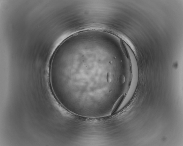 X0000090981099200708091452