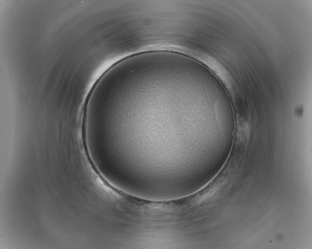 X0000090981102200708091452