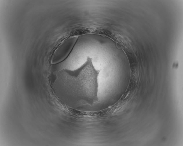 X0000090981105200708091452