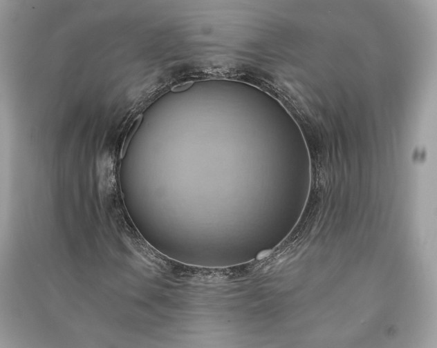 X0000090981106200708091452