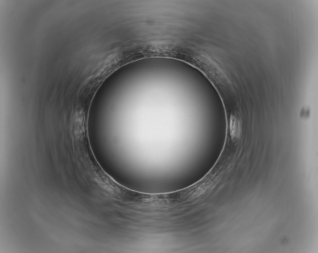 X0000090981107200708091452