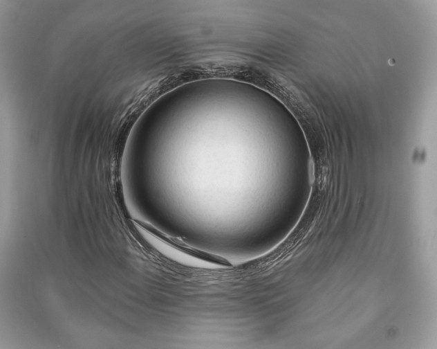 X0000090981108200708091452