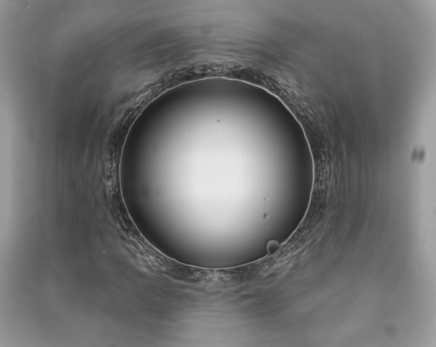 X0000090981109200708091452