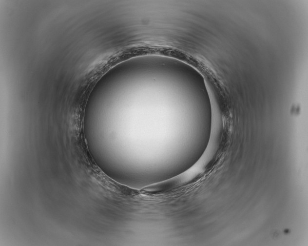 X0000090981110200708091452