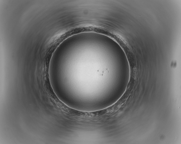 X0000090981111200708091452
