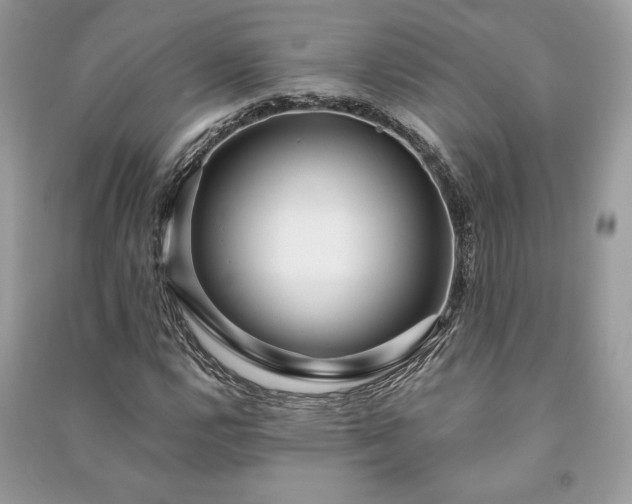 X0000090981112200708091452