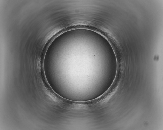 X0000090981113200708091452