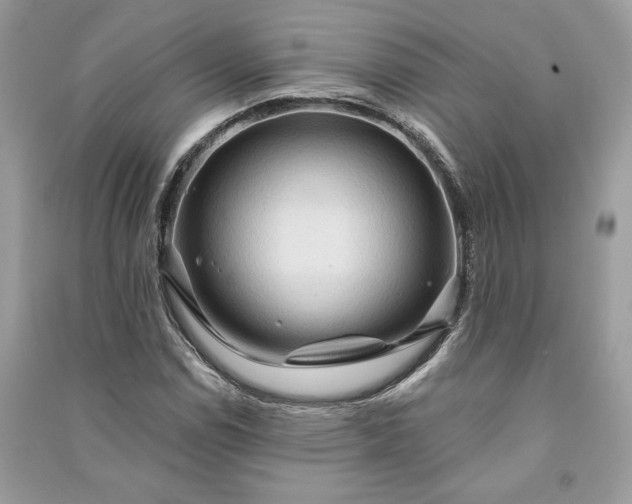 X0000090981114200708091452