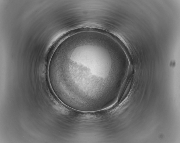 X0000090981115200708091452
