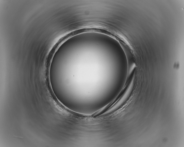 X0000090981116200708091452