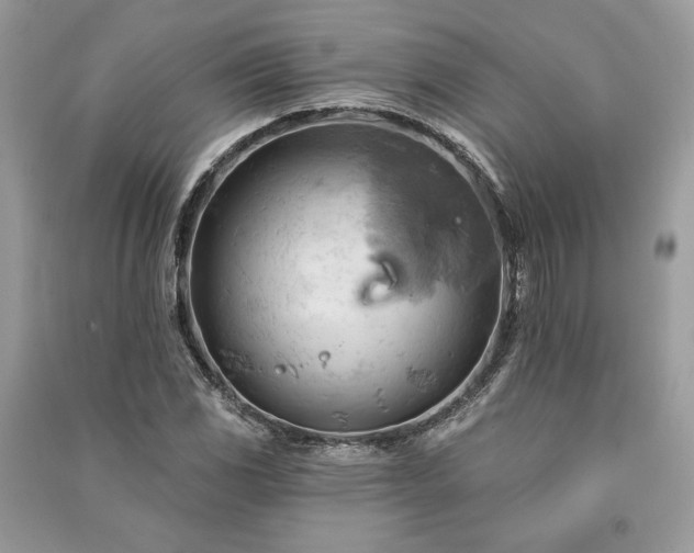 X0000090981117200708091452