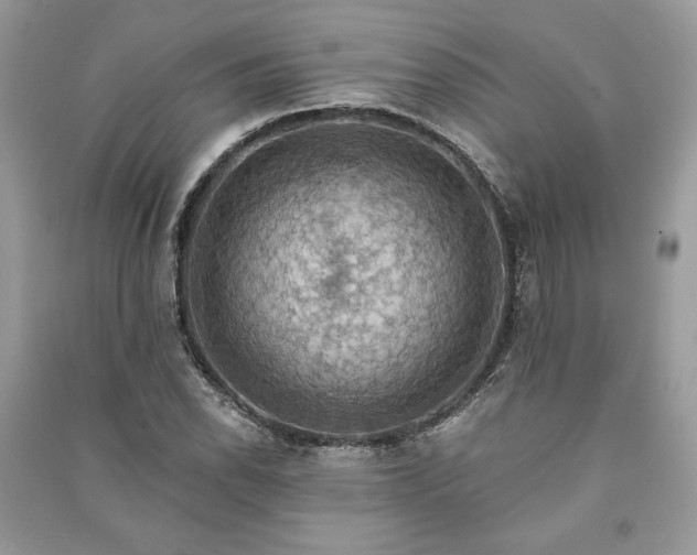 X0000090981118200708091452