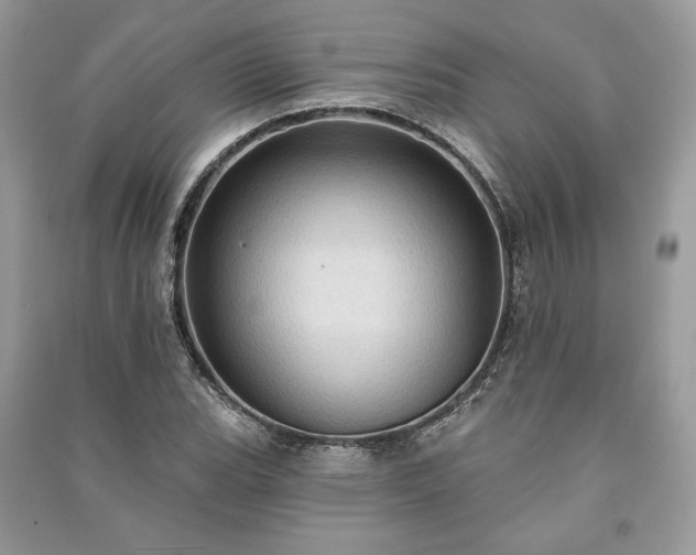 X0000090981119200708091452