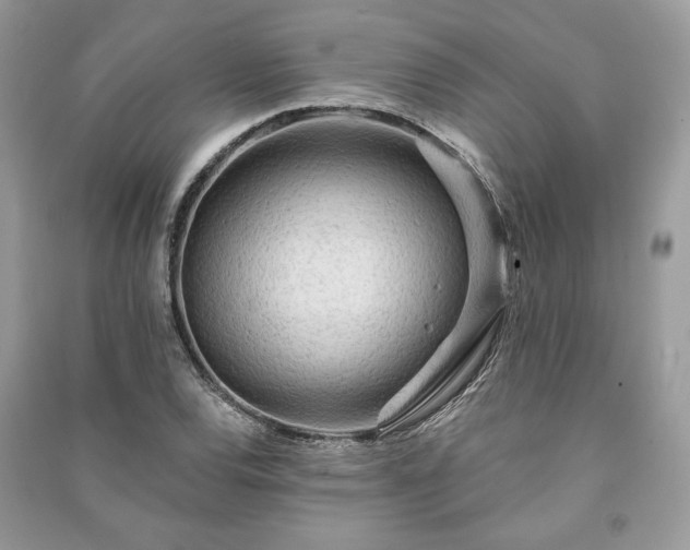 X0000090981120200708091452