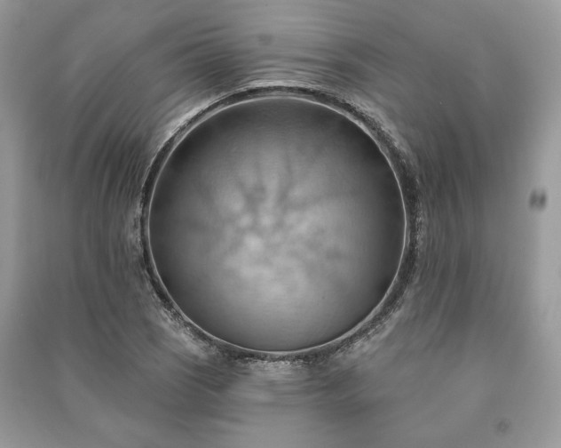 X0000090981121200708091452