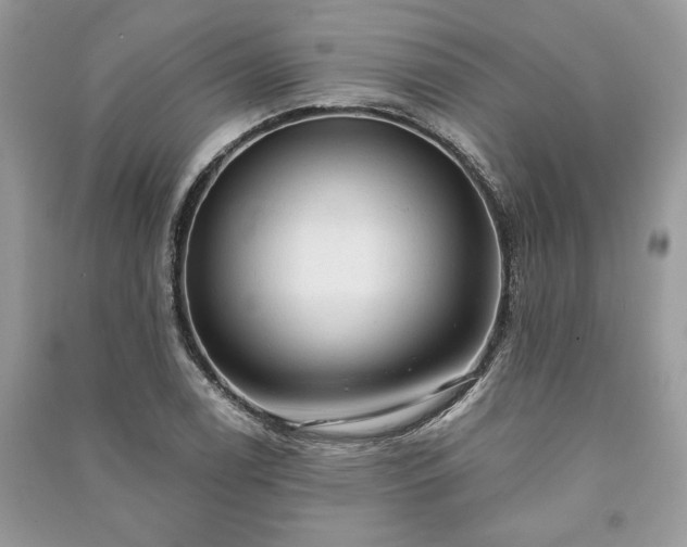 X0000090981122200708091452