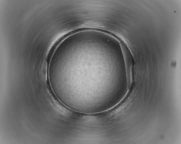 X0000090981123200708091452