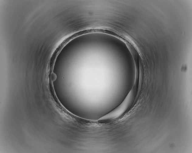 X0000090981124200708091452