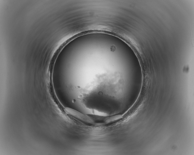 X0000090981125200708091452