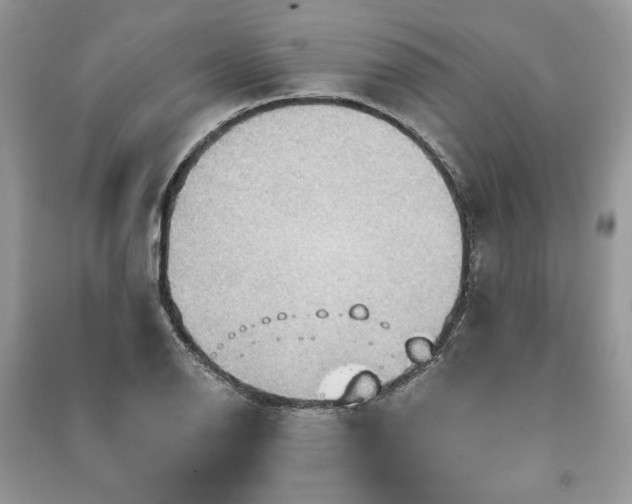 X0000090981126200708091452