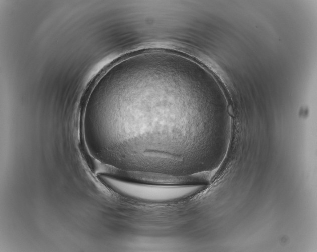 X0000090981127200708091452