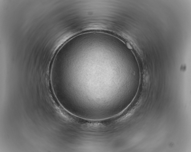 X0000090981129200708091452