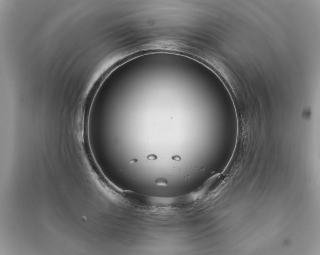 X0000090981131200708091452