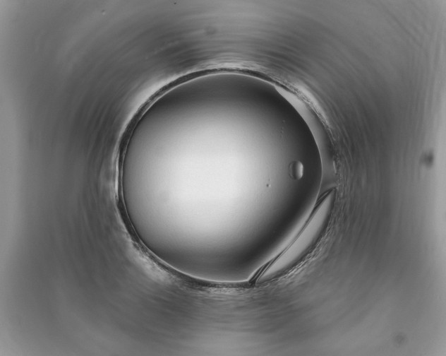X0000090981132200708091452