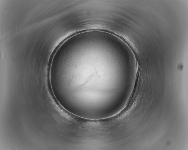 X0000090981134200708091452