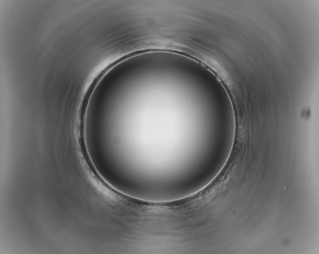 X0000090981136200708091452