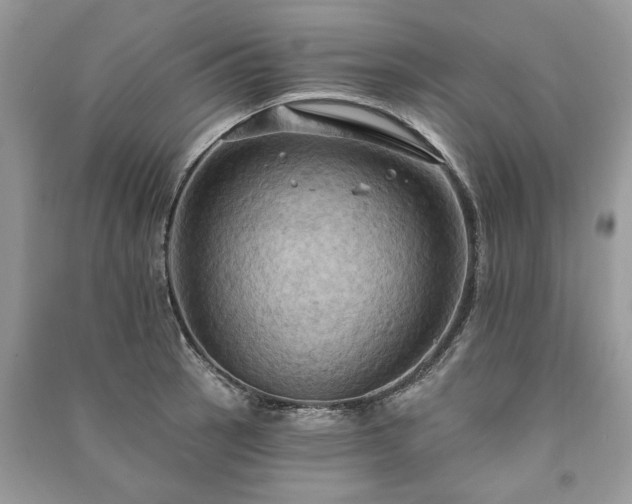 X0000090981137200708091452