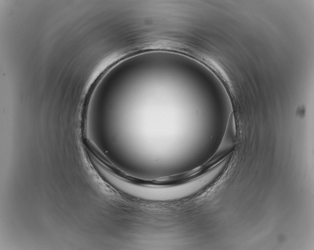 X0000090981138200708091452