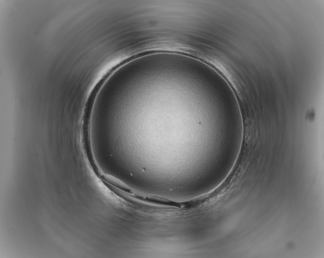 X0000090981139200708091452