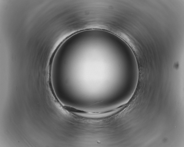 X0000090981140200708091452